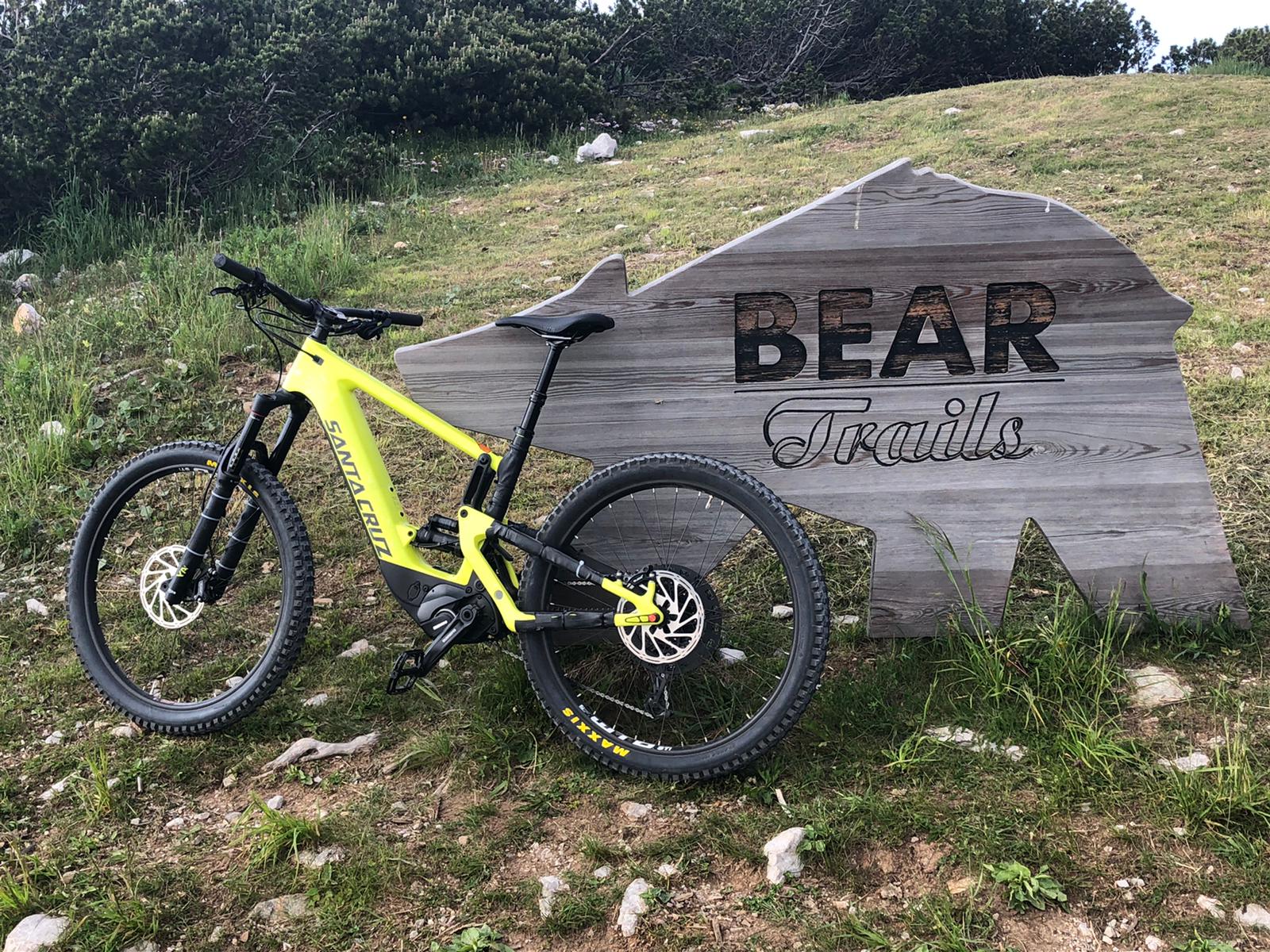 Bear trail Santa Cruz